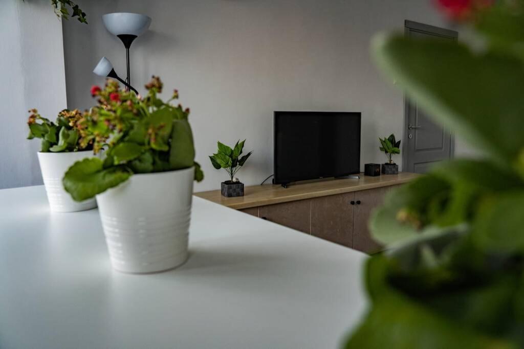 Modern 1 Bedroom Apartment In Bucharest Center! Экстерьер фото